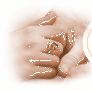 img8.gif