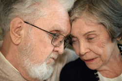 img2.gif