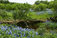 Texas Hill Country Travel