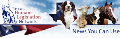 Texas Adoption Home Study on Return To Articles Home Page
